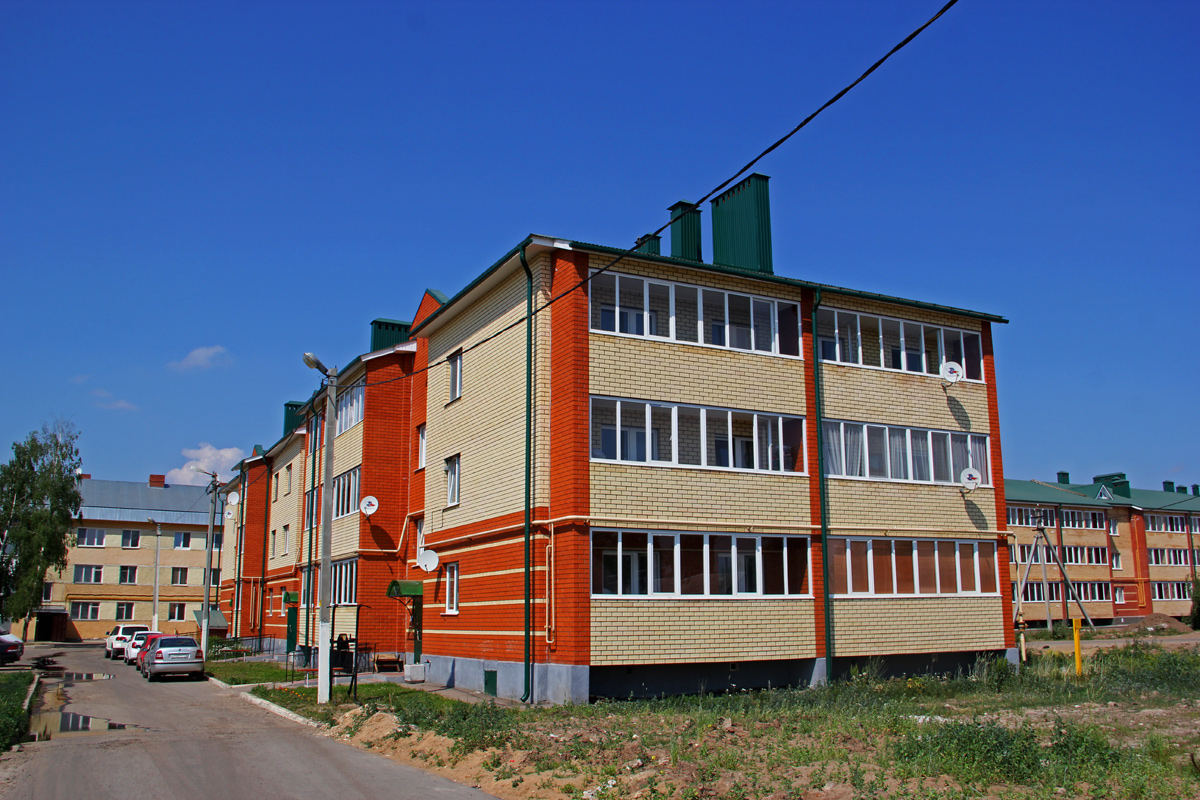 Laishevsky district, Usady, Улица ДСУ, 11