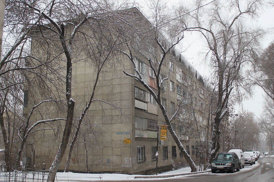 Алматы, Улица Исаева, 161