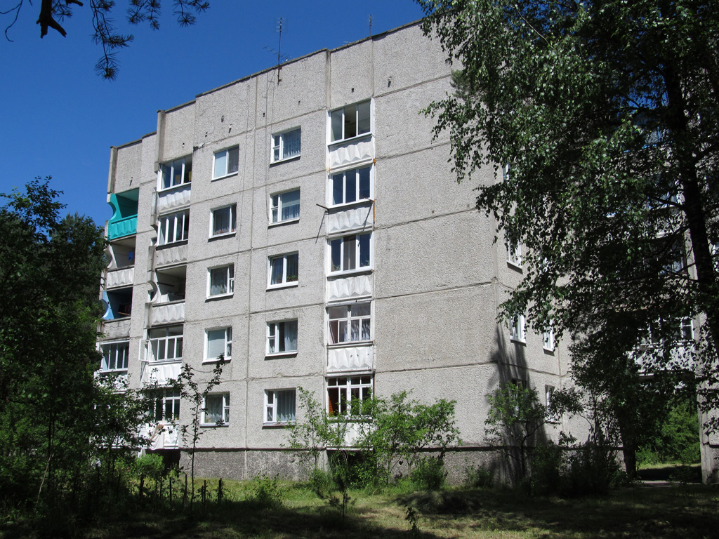 Берёзовка, Улица Гагарина, 26