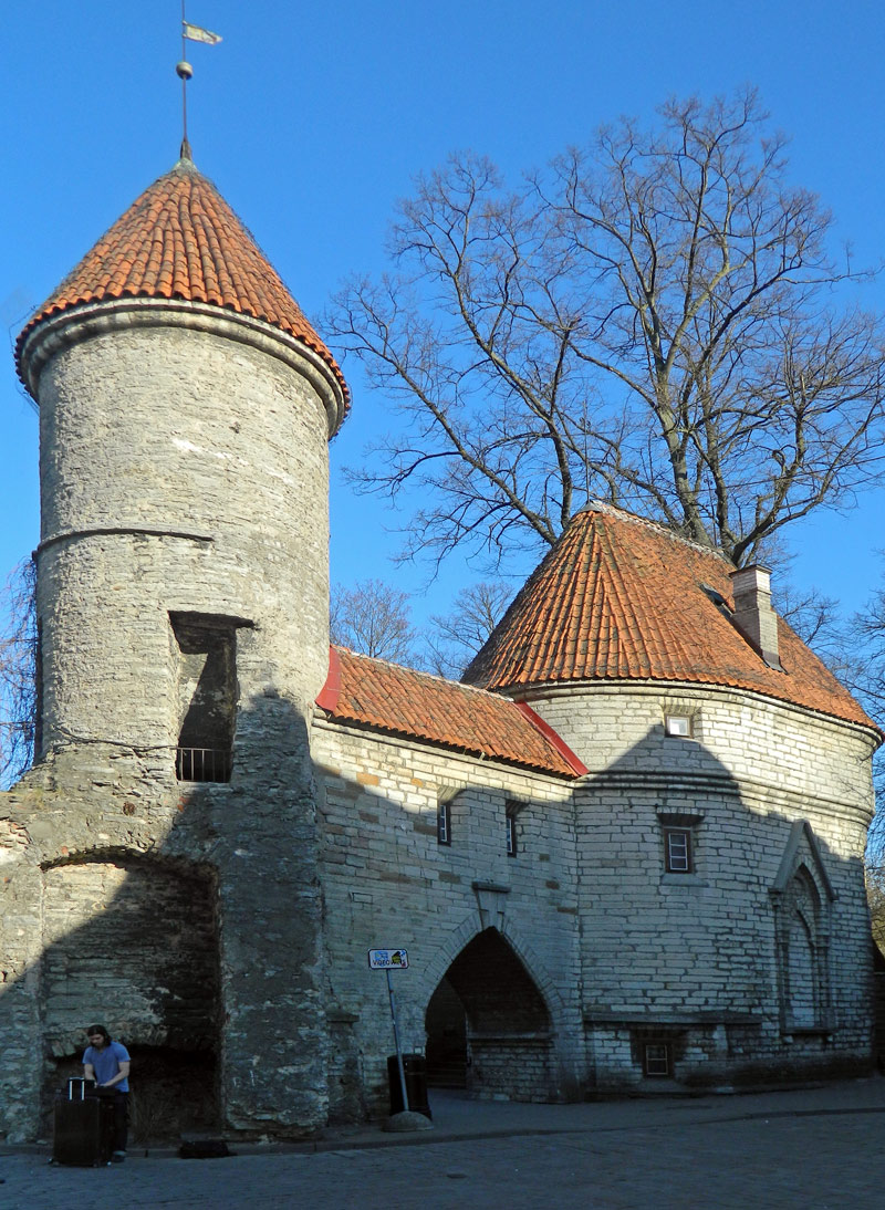 Tallinn, Viru, 26