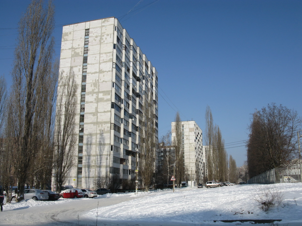 Voronezh, Улица Хользунова, 108; Улица Генерала Лизюкова, 89; Улица Генерала Лизюкова, 95