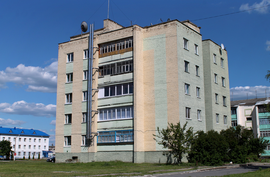 Лельчицы, Советская улица, 99
