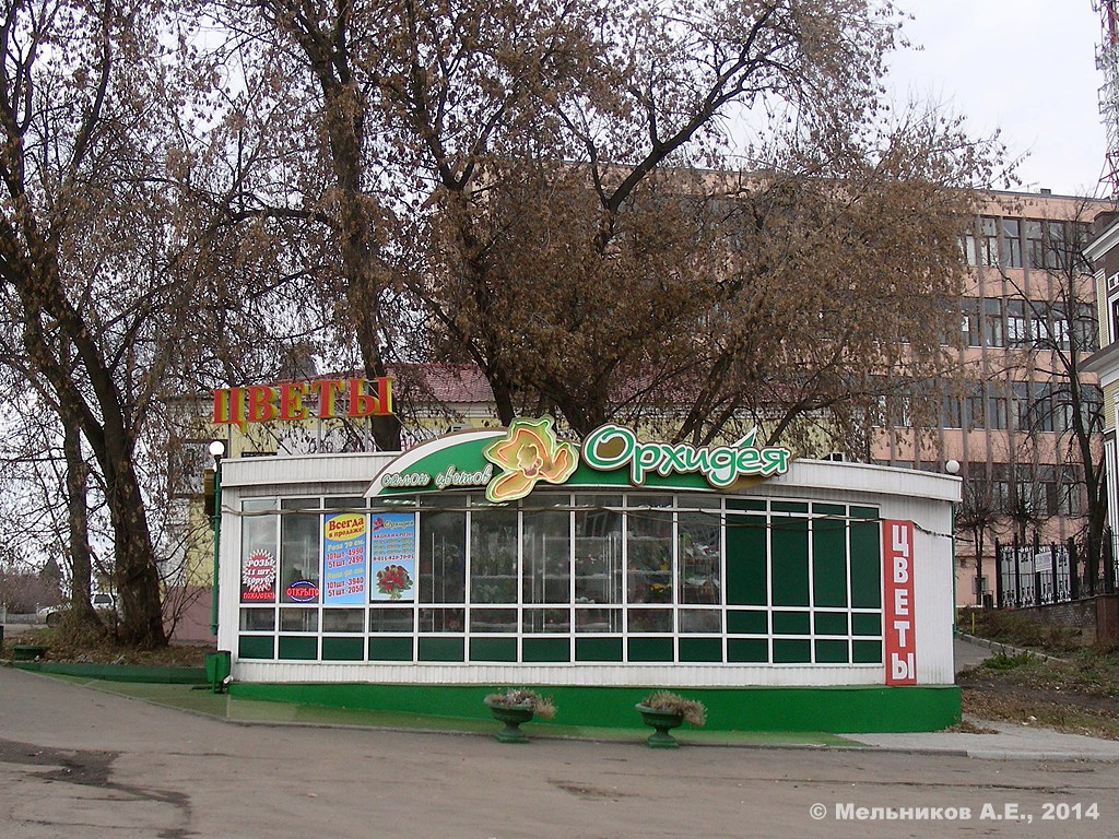 Иваново, Крутицкая улица, 2А