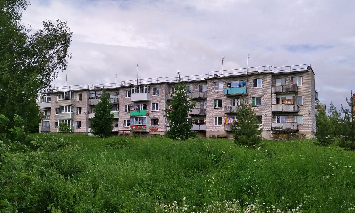 Pereslavsky District, other localities, пос. Дубки, Новая улица, 5