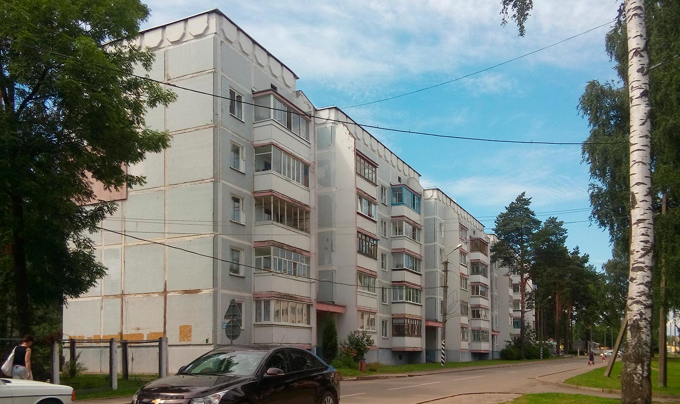 Новополоцк, Боровуха, Армейская улица, 33