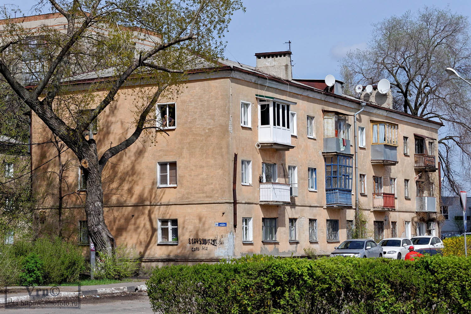 Voronezh, Улица Урицкого, 56