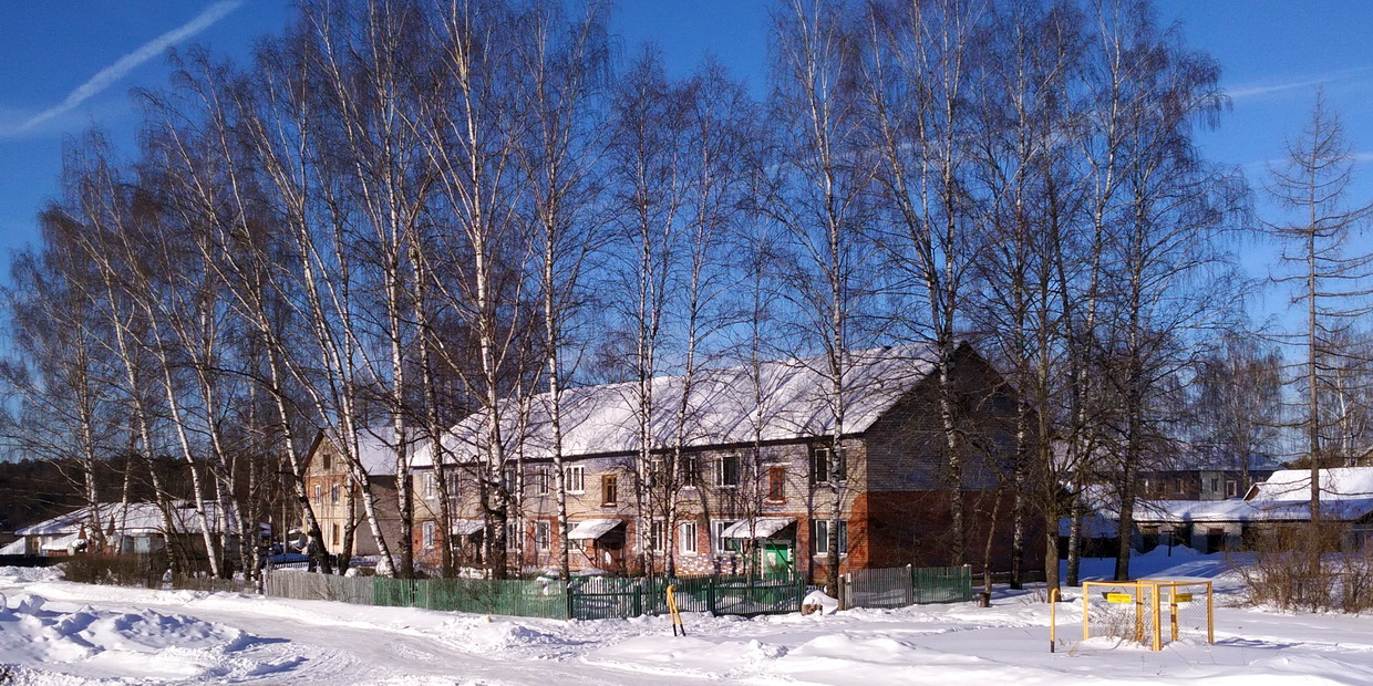 Pereslavsky District, other localities, с. Купанское (Усолье), Советская улица, 24