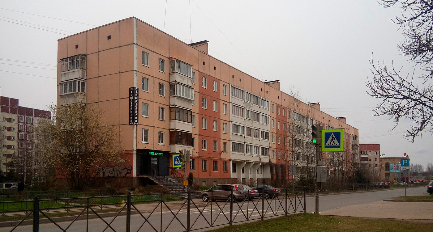Vsevolozhsk, Александровская улица, 81 корп. 1