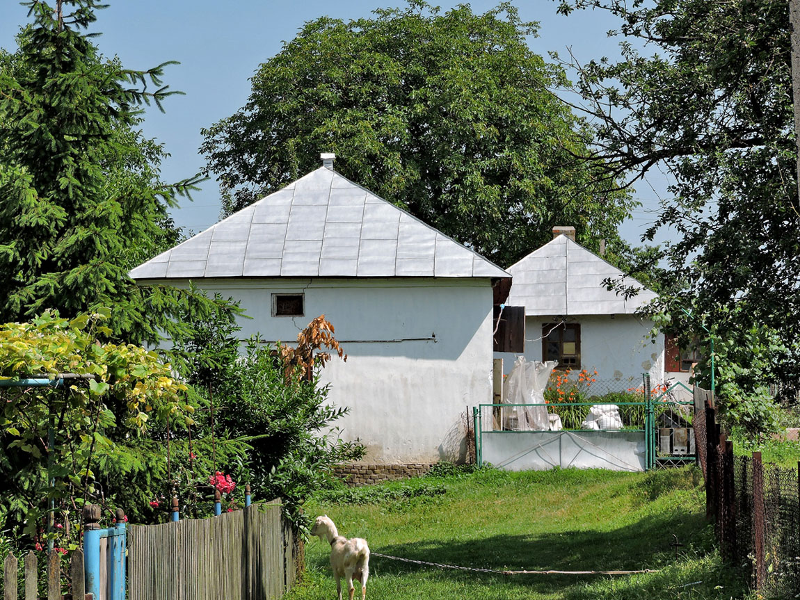 Zolochiv district. others settlements, с. Старый Милятин, улица Иванивка, 7