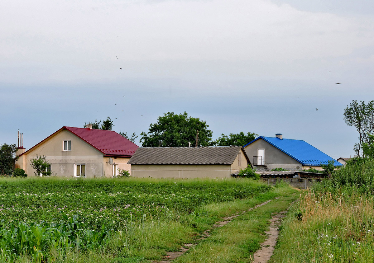 Zolochiv district. others settlements, с. Новый Милятин; с. Новый Милятин