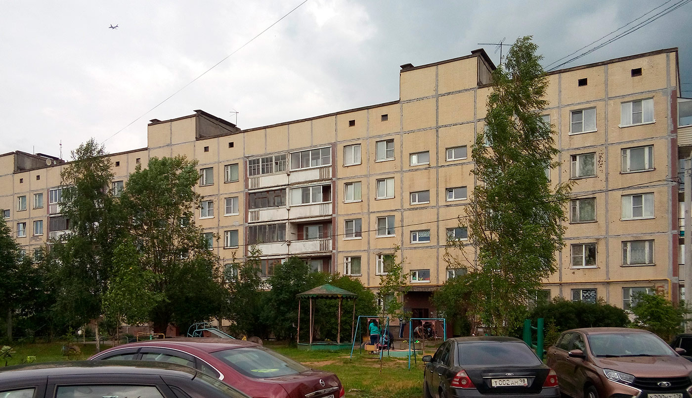 Tosno District, other localities, Войскорово, 6