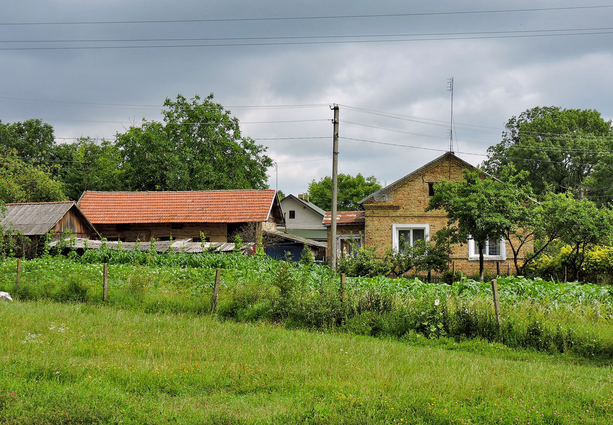 Zolochiv district. others settlements, с. Скварява, ?
