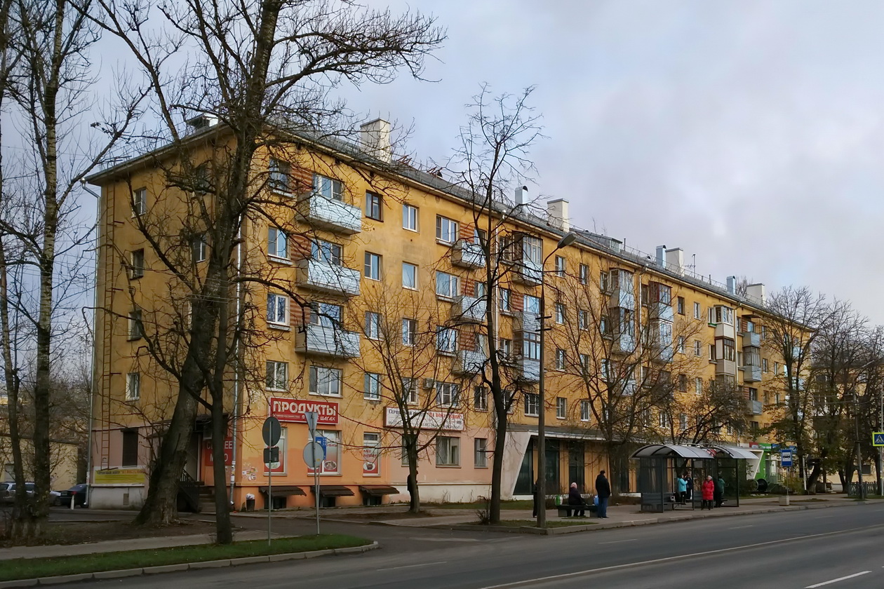 Pskov, Улица Яна Фабрициуса, 29