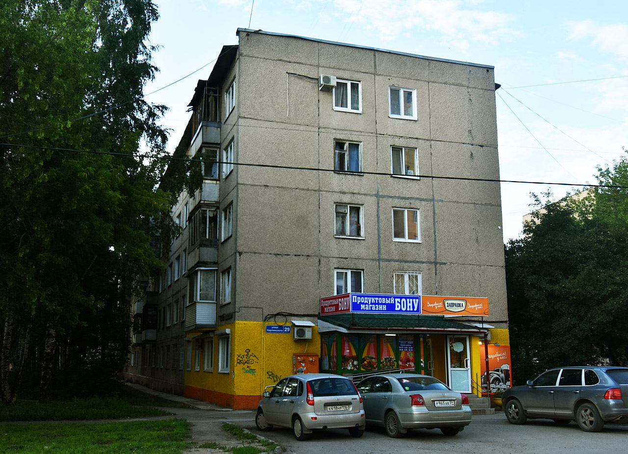 Пермь, Улица Карпинского, 29