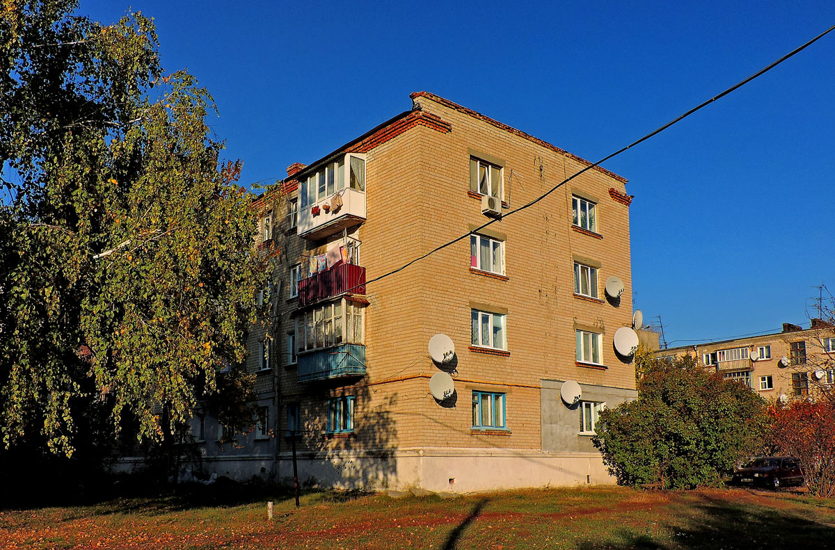Кочеток, Улица Литвинова, 49