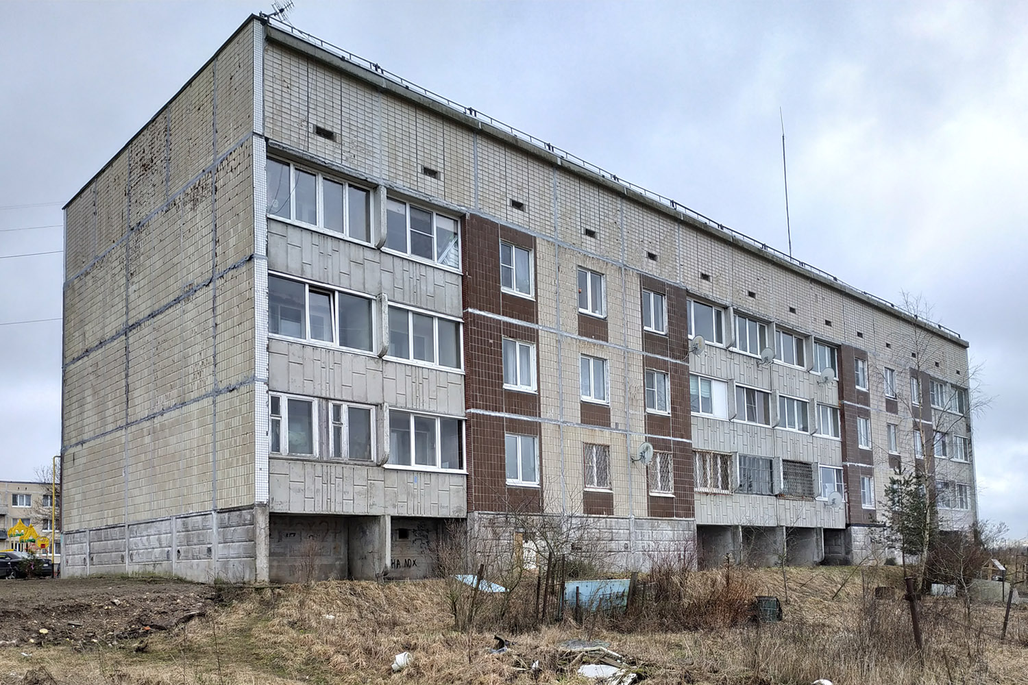 Gatchina District, other localities, Большое Рейзино, 37
