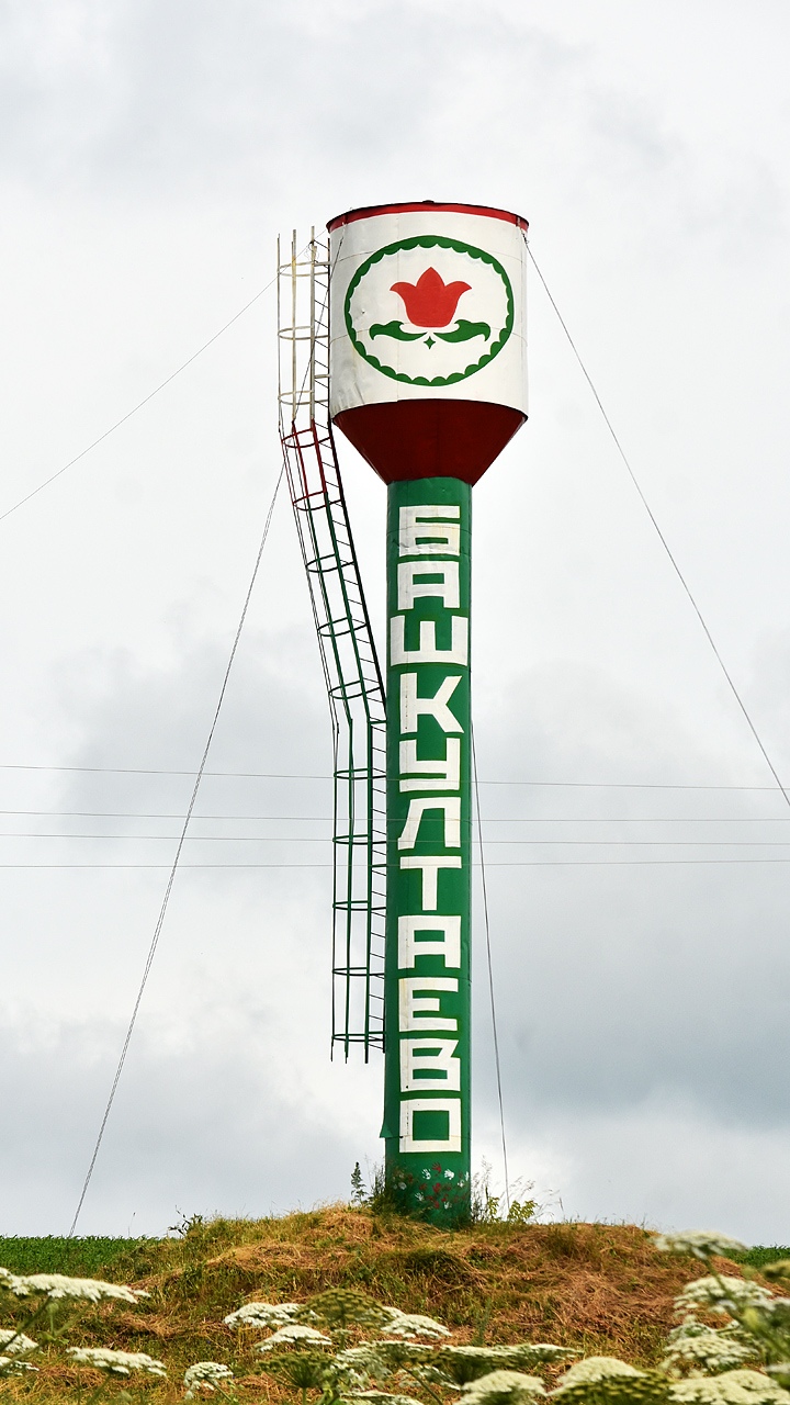 Permsky district, other localities, с. Башкултаево, улица Мавлютова, ?