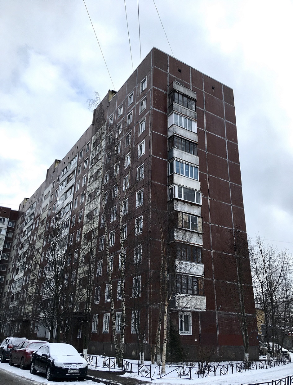 Petersburg, Елагинский проспект, 42