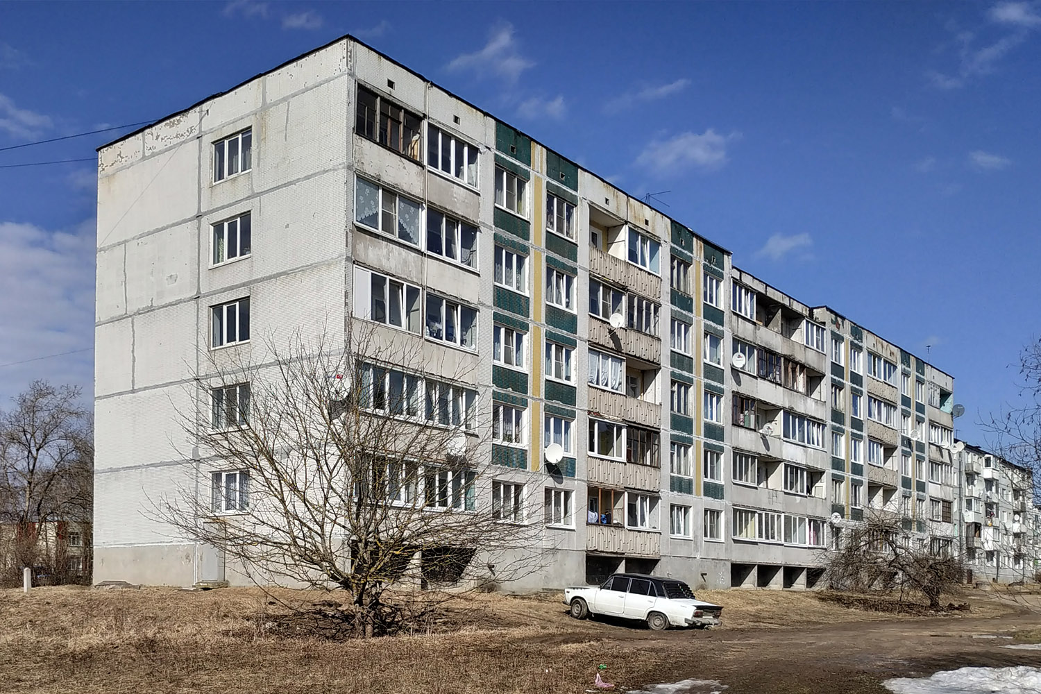 Volosovo District, other localities, Калитино, 20