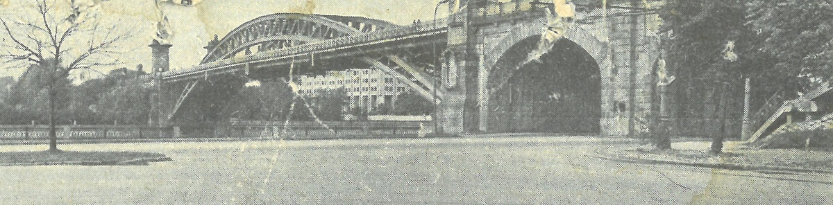 Москва, Московское центральное кольцо, Андреевский мост