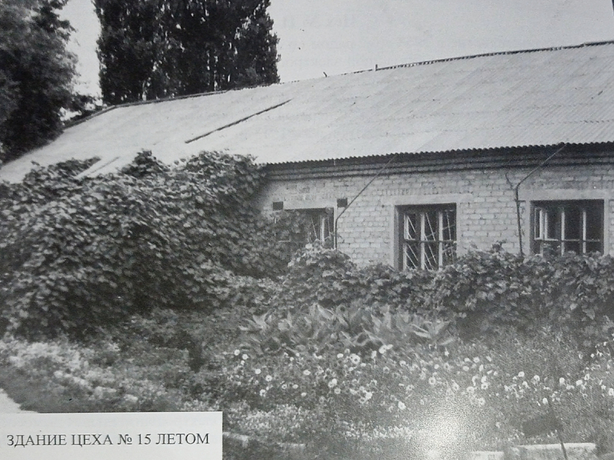 Lisichansk, Улица Мичурина, 1. Lisichansk — Historical photo
