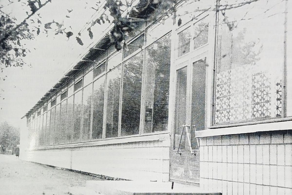 Lisichansk, Улица Мичурина, 74. Lisichansk — Historical photo