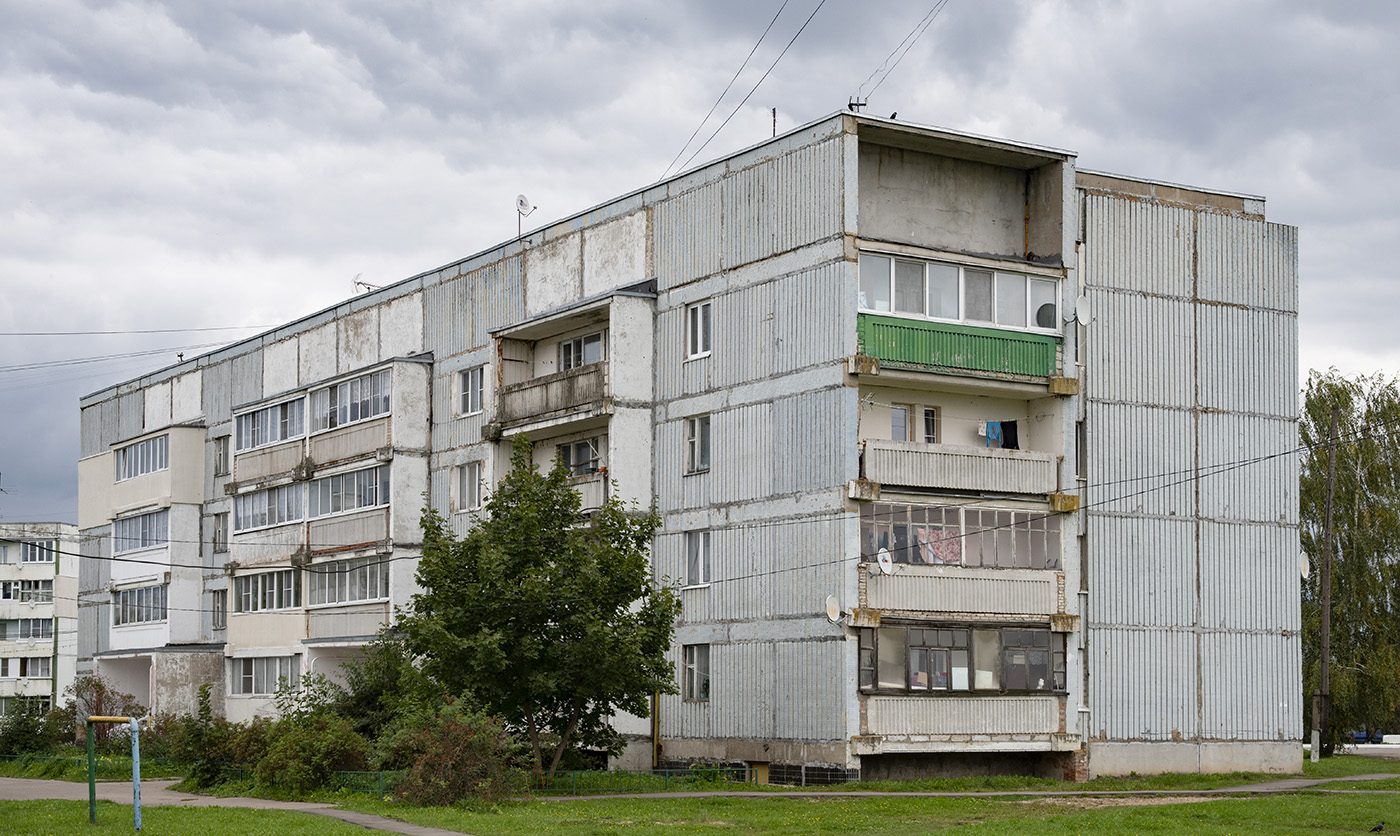 Naro-Fominsky city district, other localities, дер. Веселёво, 12