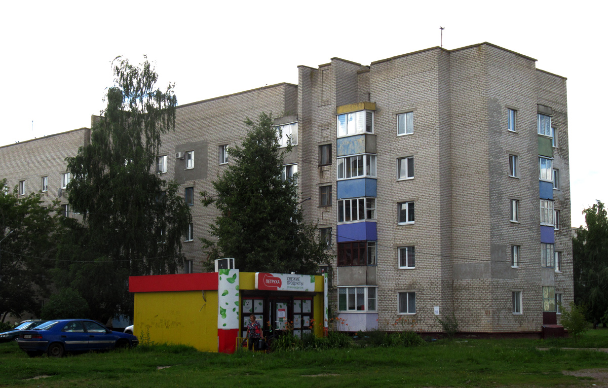 Магілёў, Ямницкая улица, 91