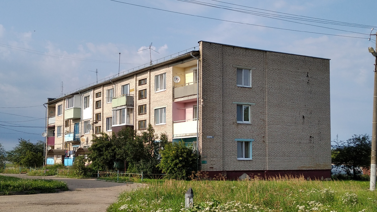 Dubrovno region, other settlements, Осиновка, улица Ялугина, 9
